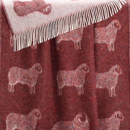 Burgundy Red Sheep Pure Wool Throw from J.J. Textile