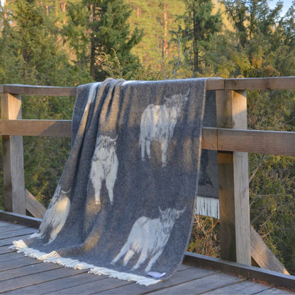Soft Black Highland Cow Pure Wool Throw from J.J. Textile