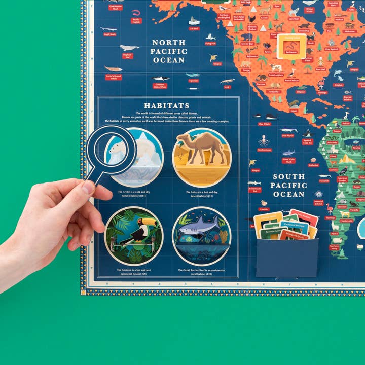 Amazing Animal Kingdom Giant Map Craft Kit from Clockwork Soldier