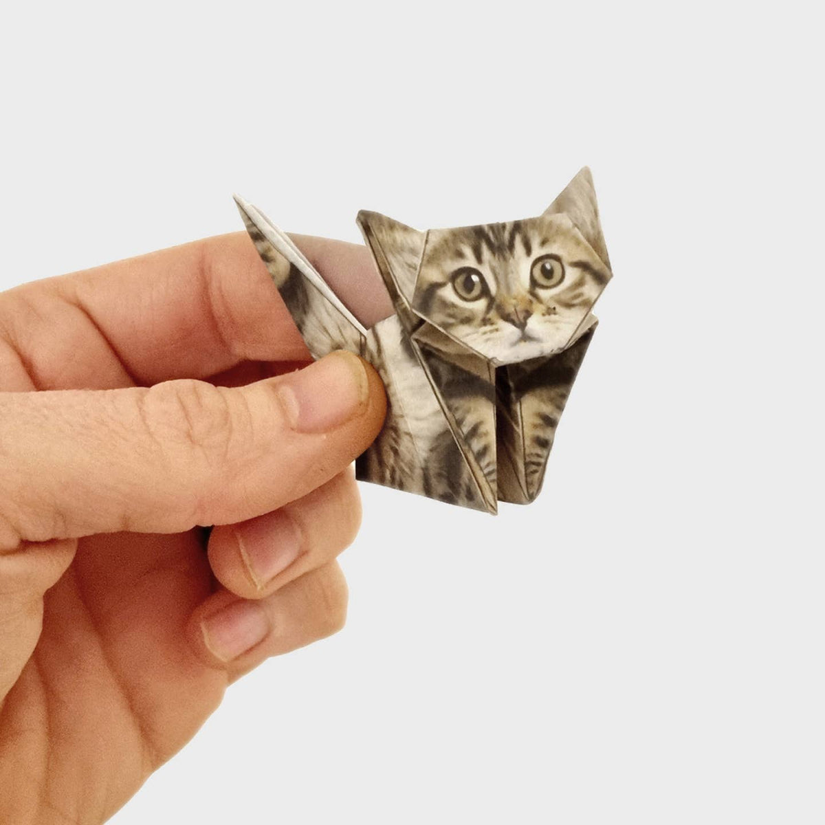 Paper Cats Origami Kit from Pikkii