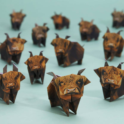 50 Paper Highland Cows Origami Kit from Pikkii