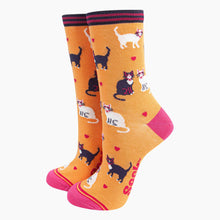 Cats in Love Bamboo Socks from Sock Talk