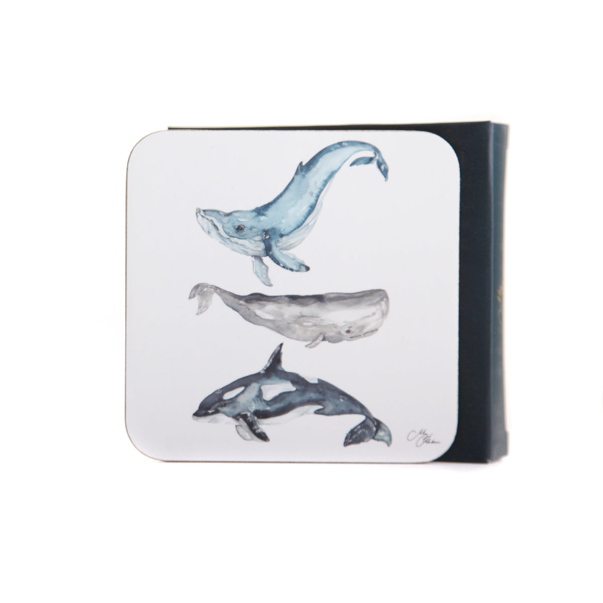 The Ocean Whales Set of 4 Coasters by Meg Hawkins