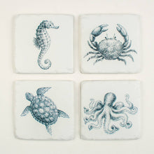 Coastal Sea Creature Set of 4 Coasters