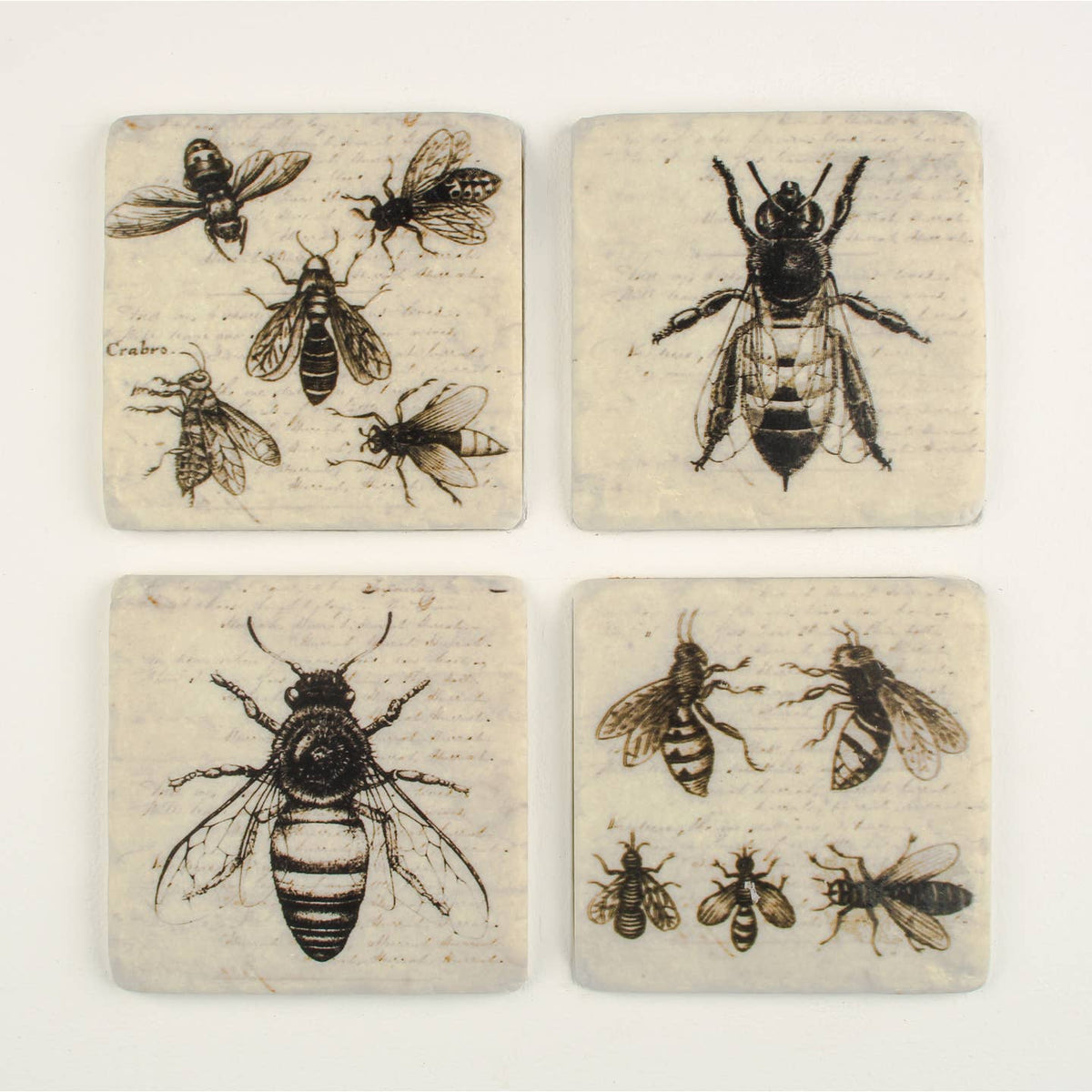 Bee Sketch Set of 4 Coasters