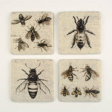 Bee Sketch Set of 4 Coasters