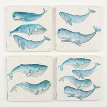 Watercolour Whale Set of 4 Coasters