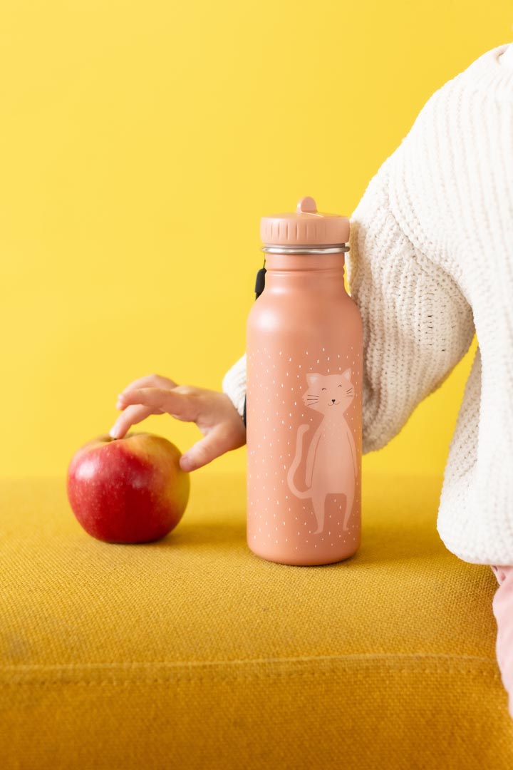 Mrs Cat 500ml Stainless Steel Water Bottle from Trixie