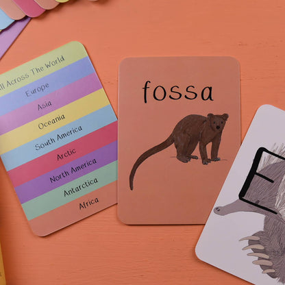 Alphabet of Amazing Animals Flash Cards