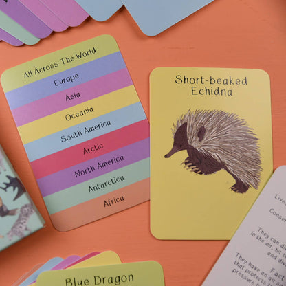 Amazing Animals Fact Cards Set One