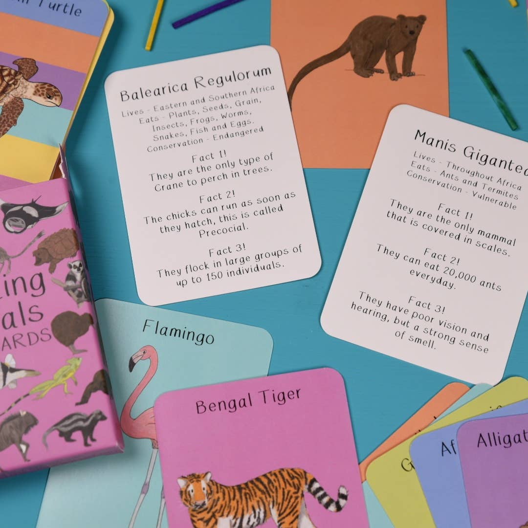 Amazing Animals Fact Cards Set Two
