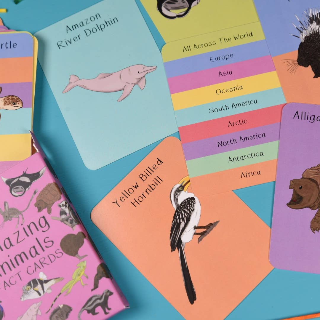 Amazing Animals Fact Cards Set Two