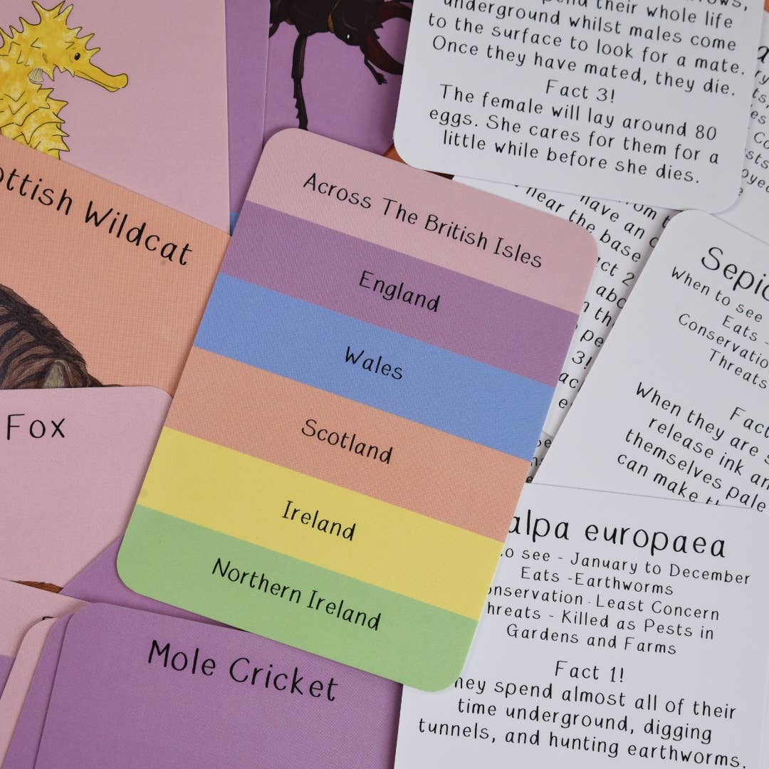 Amazing Animals of the British Isles Fact Cards