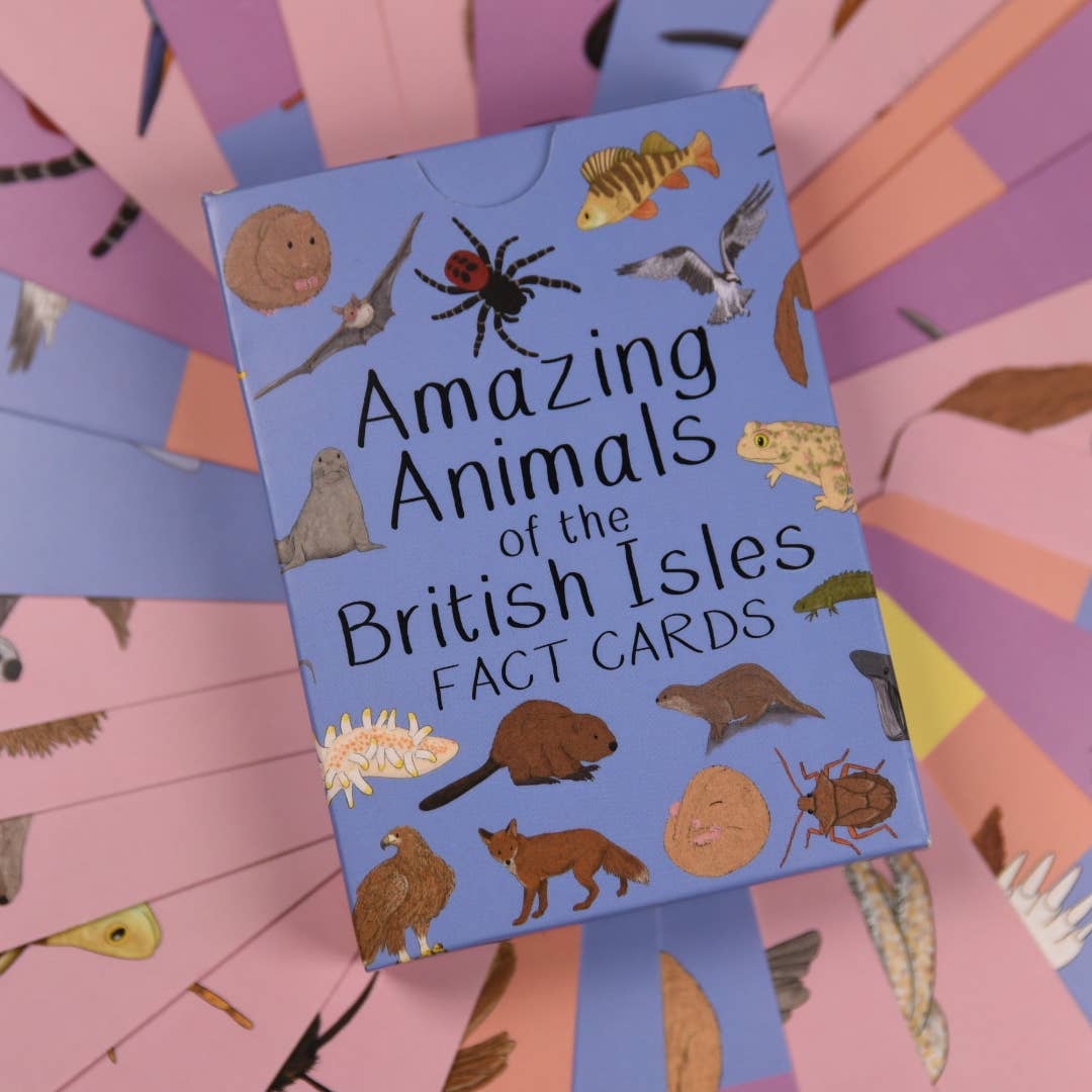 Amazing Animals of the British Isles Fact Cards