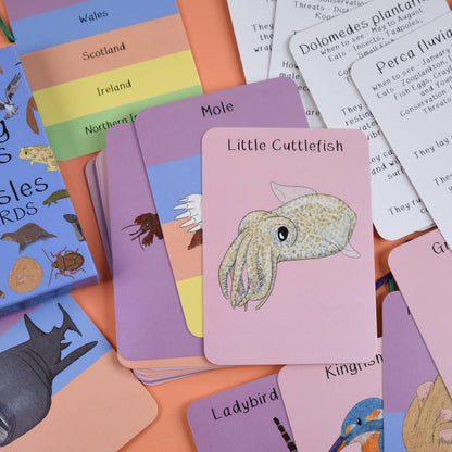 Amazing Animals of the British Isles Fact Cards
