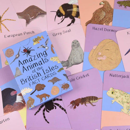 Amazing Animals of the British Isles Fact Cards