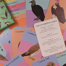 Amazing Birds of Prey Fact Cards