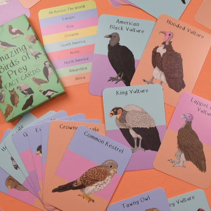 Amazing Birds of Prey Fact Cards