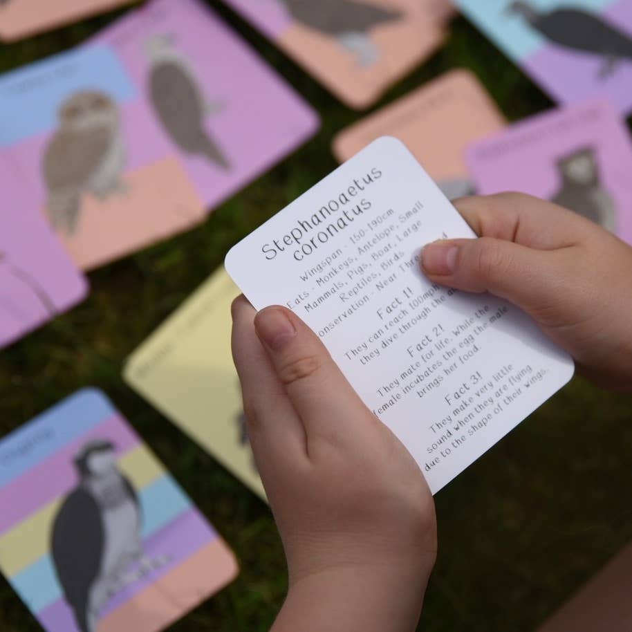 Amazing Birds of Prey Fact Cards