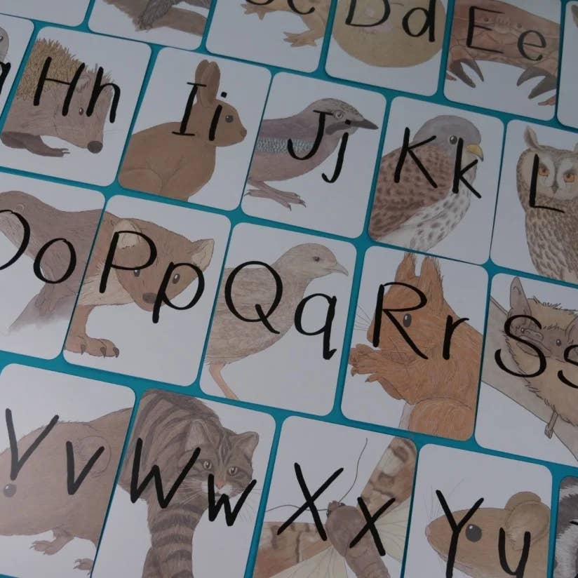 Alphabet of Amazing British Wildlife Flash Cards