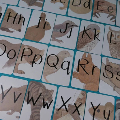 Alphabet of Amazing British Wildlife Flash Cards