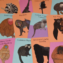 Amazing Primates Fact Cards
