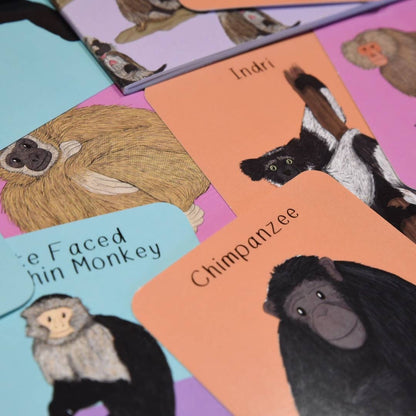 Amazing Primates Fact Cards