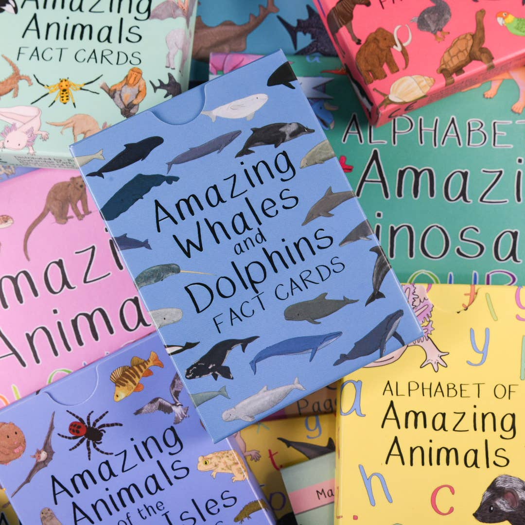Amazing Whales and Dolphins Fact Cards