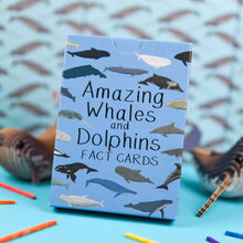 Amazing Whales and Dolphins Fact Cards