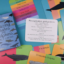 Amazing Whales and Dolphins Fact Cards