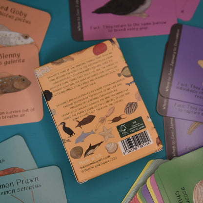 Amazing British Coastline ID Cards
