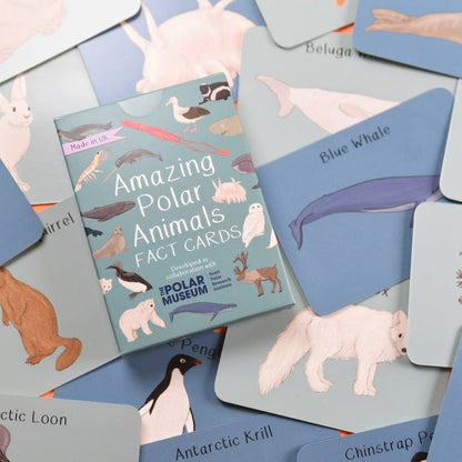 Amazing Polar Animals Fact Cards