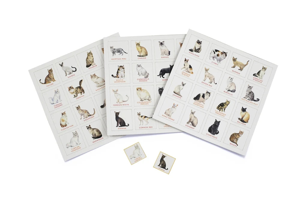 Cat Bingo from Laurence King Publishing