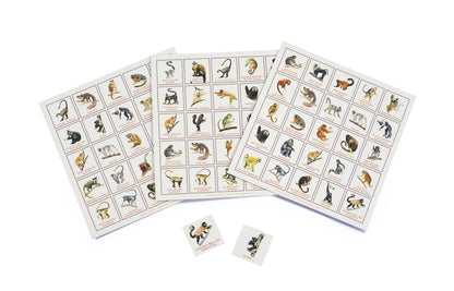 Monkey Bingo and Other Primates from Laurence King Publishing