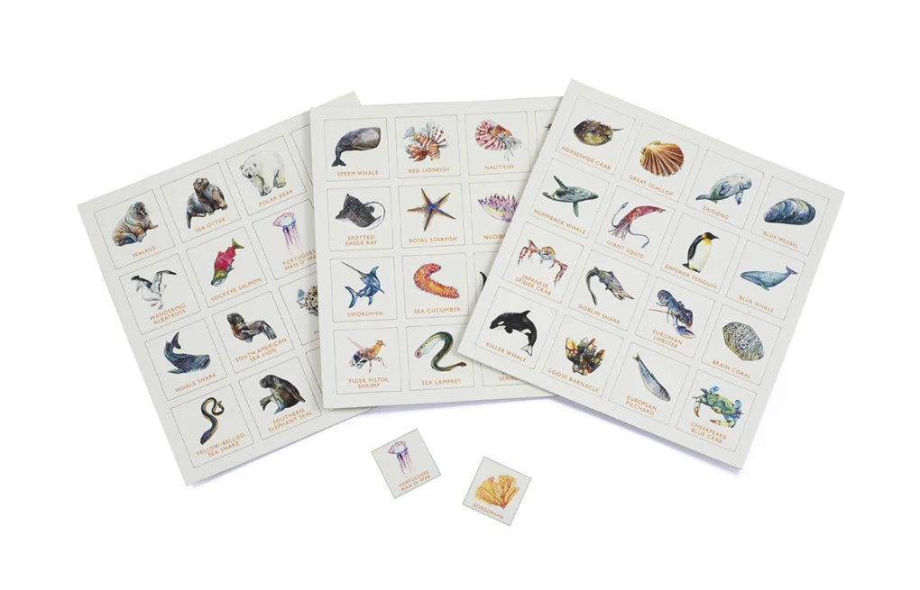 Ocean Bingo from Laurence King Publishing
