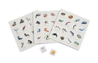 Ocean Bingo from Laurence King Publishing