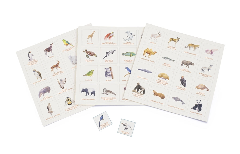 Endangered Animals Bingo from Laurence King Publishing