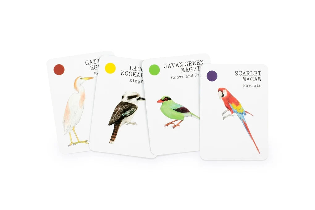 RSPB Bird Families Card Game