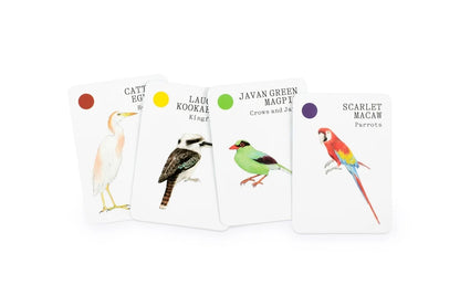 RSPB Bird Families Card Game