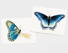 Butterfly Wings Matching Game by Christine Berrie