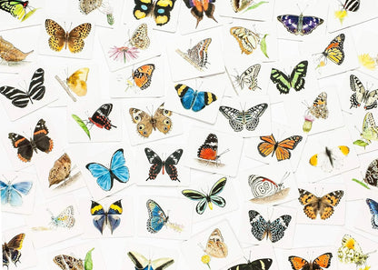 Butterfly Wings Matching Game by Christine Berrie