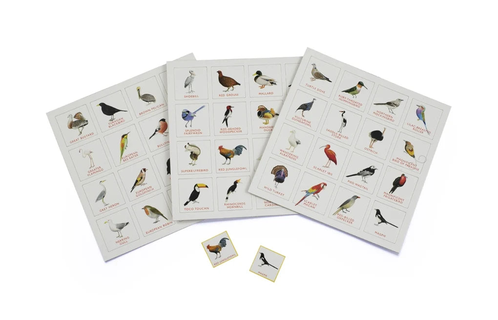 Bird Bingo Game by Christine Berrie