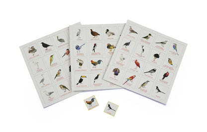 Bird Bingo Game by Christine Berrie