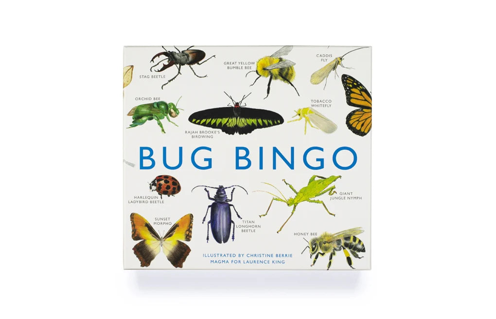 Bug Bingo Game by Christine Berrie
