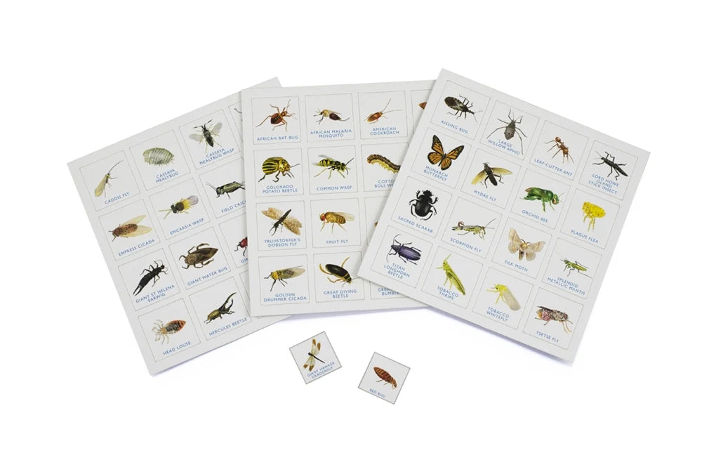 Bug Bingo Game by Christine Berrie