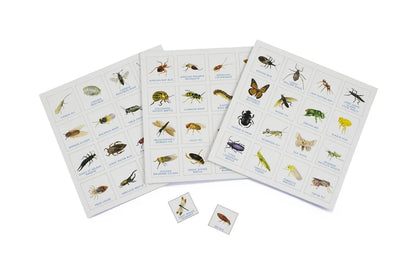 Bug Bingo Game by Christine Berrie