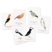 Match a Pair of Birds Memory Game by Christine Berrie