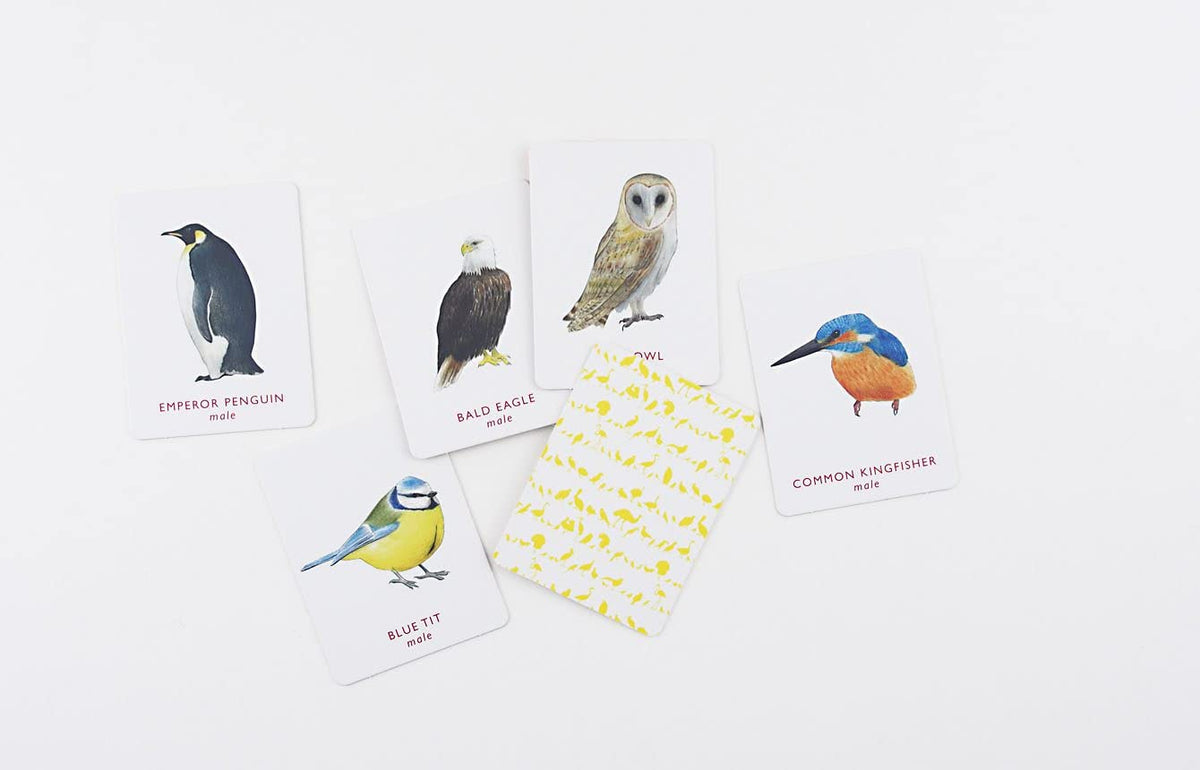 Match a Pair of Birds Memory Game by Christine Berrie