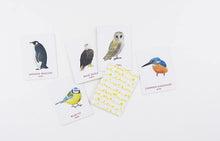 Match a Pair of Birds Memory Game by Christine Berrie