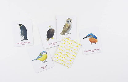 Match a Pair of Birds Memory Game by Christine Berrie